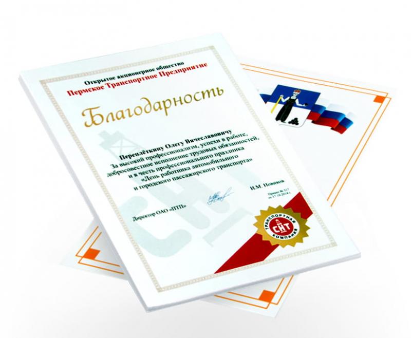 Дипломы
